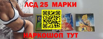 Альфа ПВП Камышлов