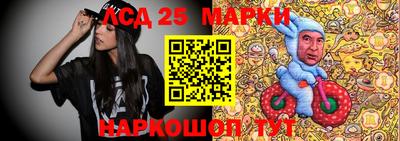 тгк Кандалакша