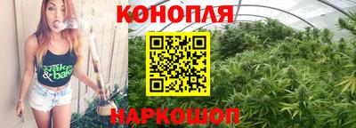 Альфа ПВП Камышлов