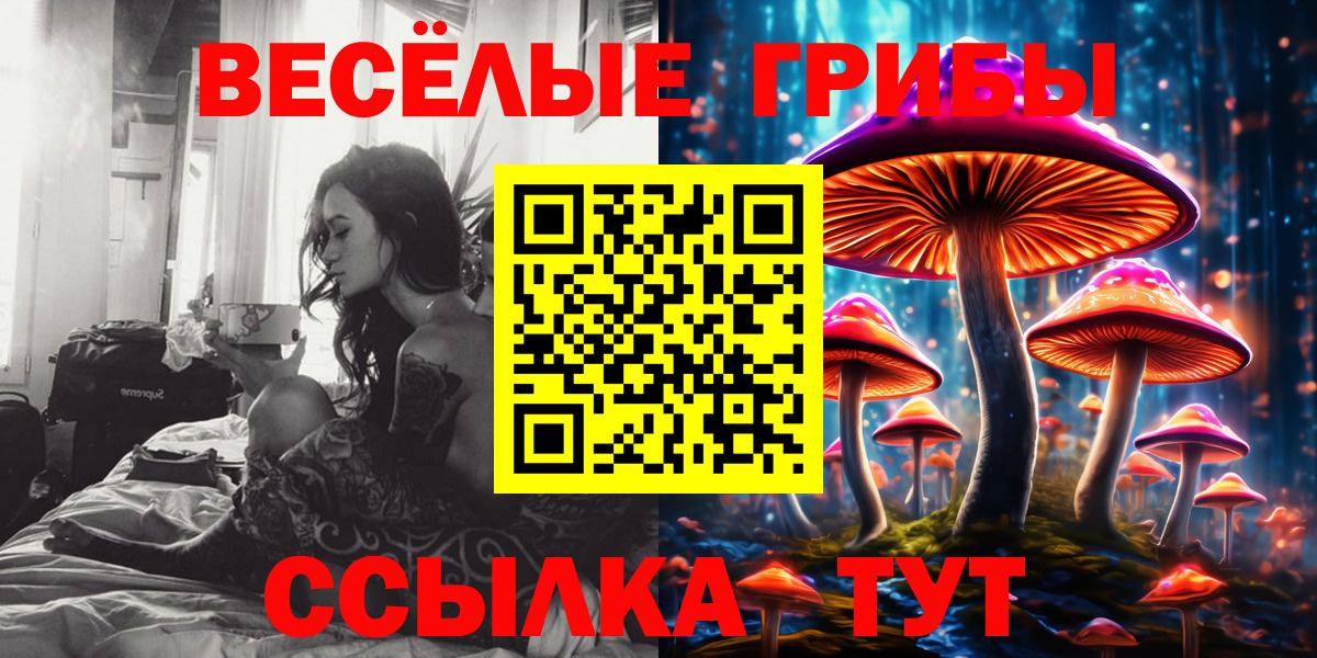 Кулебаки  Псилоцибиновые грибы GOLDEN TEACHER  Вход с VPN  Псилоцибиновые грибы мицелий 